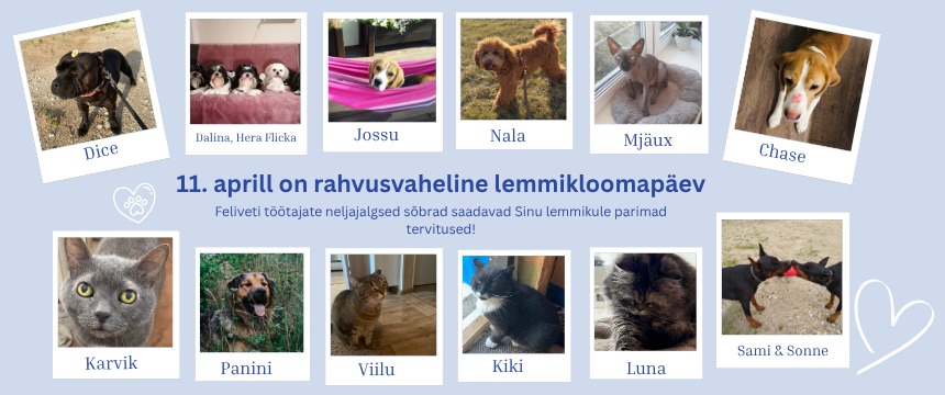 Mitmest koerapildist ja kassipildist koosnev kollaaž, kus on näha Feliveti töötajate lemmikloomad: Dice, Dalina, Hera, Flicka, Jossu, Nala, Mjaux, Chase, Karvik, Panini, Viilu, Kiki, Luna ning Sami & Sonne, koos tekstiga rahvusvahelise lemmikloomapäeva puhul.