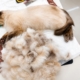 Groomer Marit - kasssi karva hooldus
