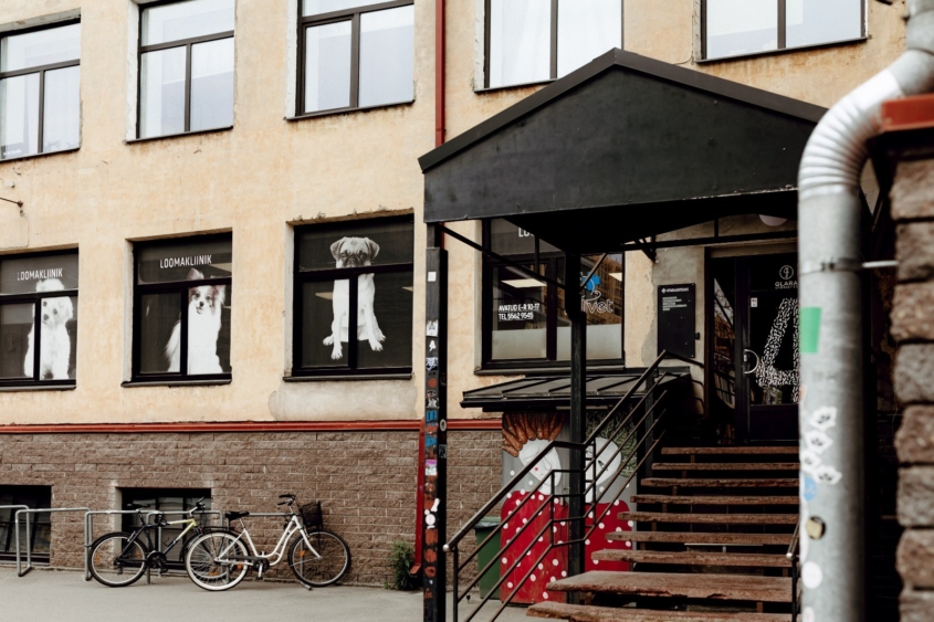 Felivet loomakliiniku välisvaade Kastani 42 Tartu