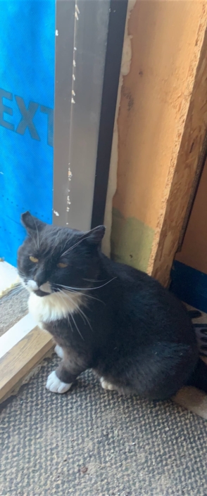 Kiki