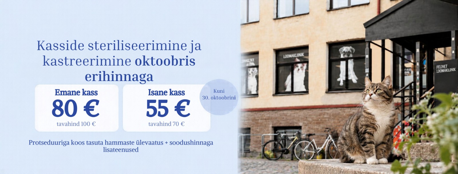 Kasside streiliseerimine ja kastreerimine oktoobris 2026 soodushinnaga